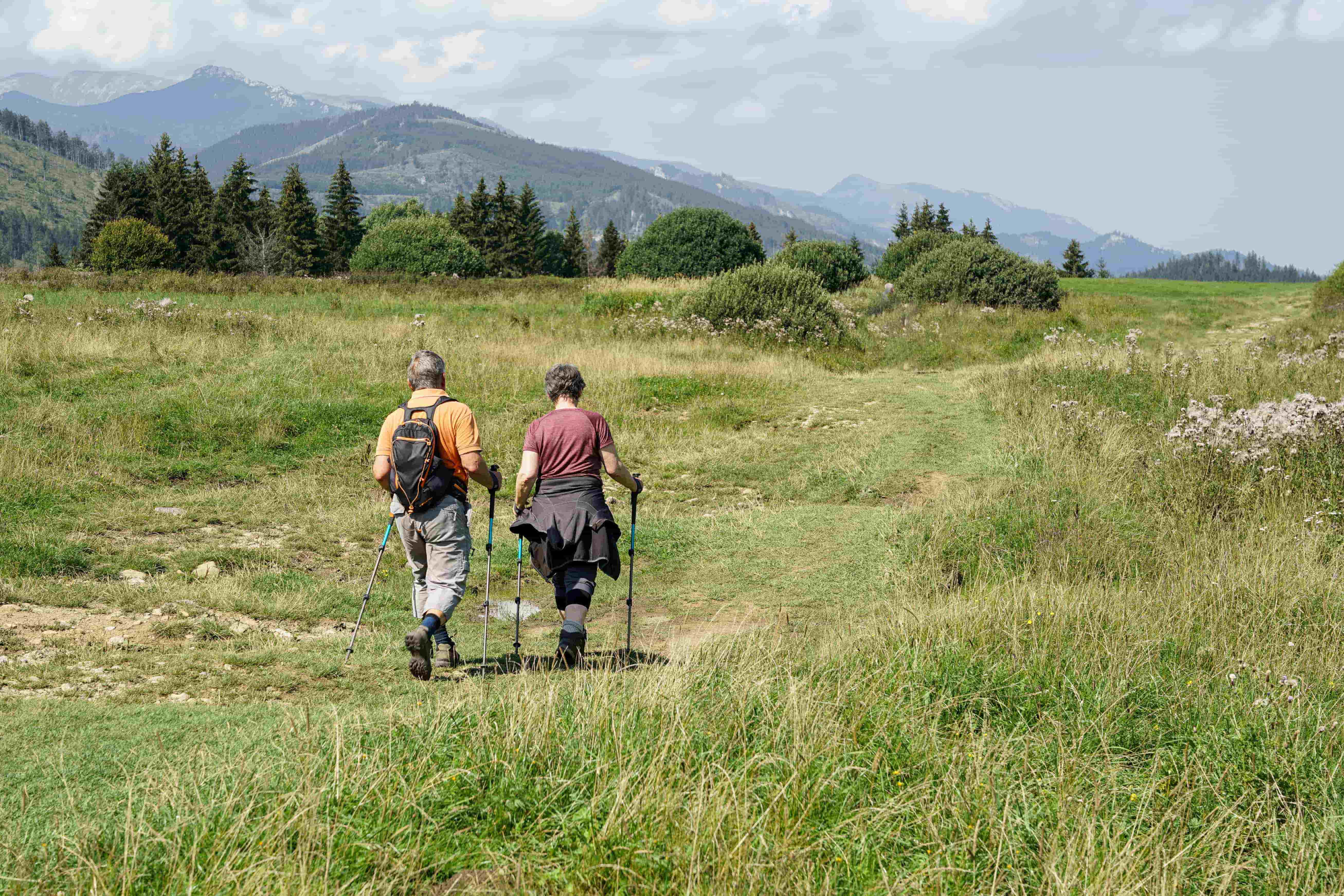 How to Read Your Lab Report: Understanding kU/L and IgE Levels