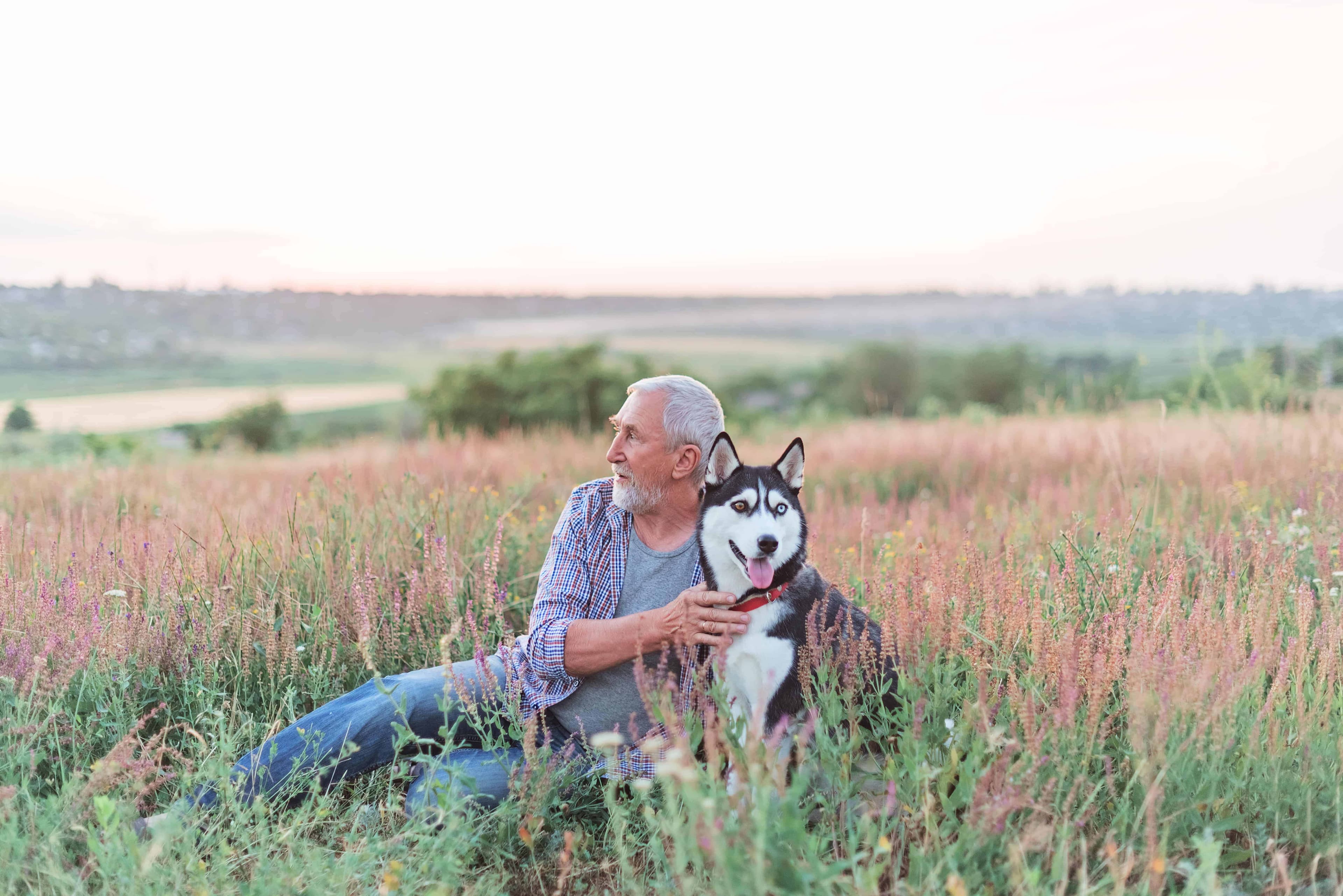 Sesame Allergy & Natasha's Law: Navigating Hidden Seeds in UK Food